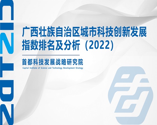 日韩美女后入【成果发布】广西壮族自治区城市科技创新发展指数排名及分析（2022）